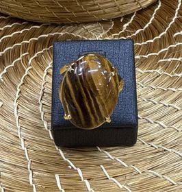 Ring — AN 85